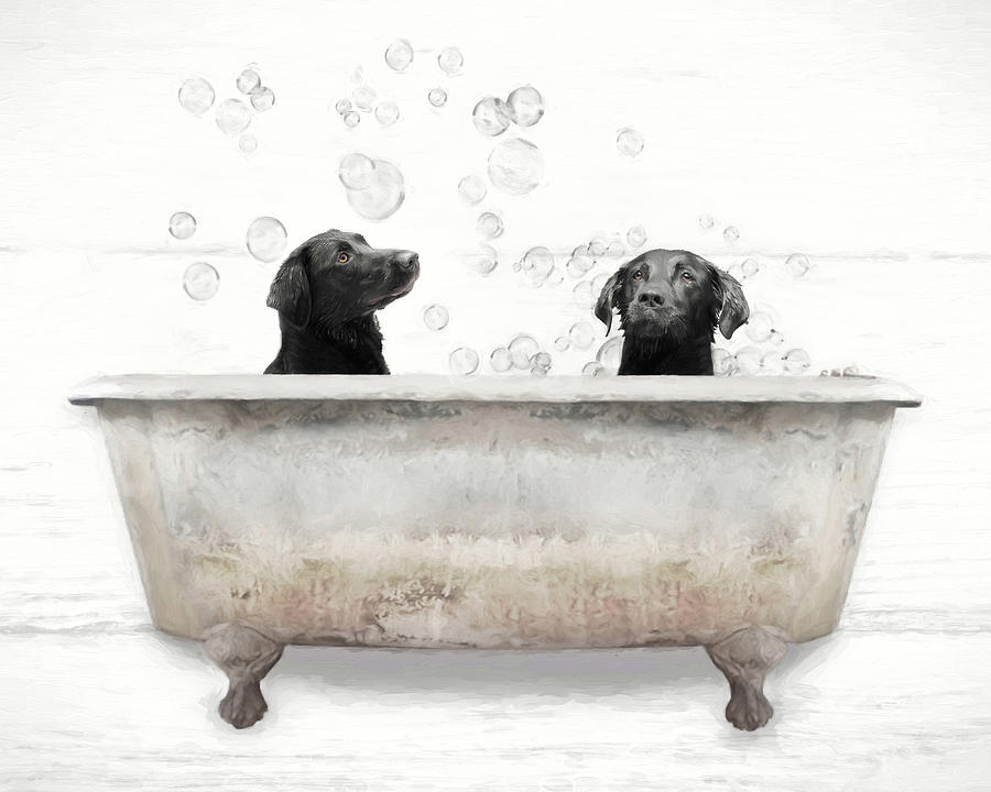 Dog Mixed Media - Bath Time with Black Labs by Lori Deiter