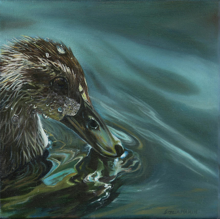 Bathing Duckline Painting by Stella Marin