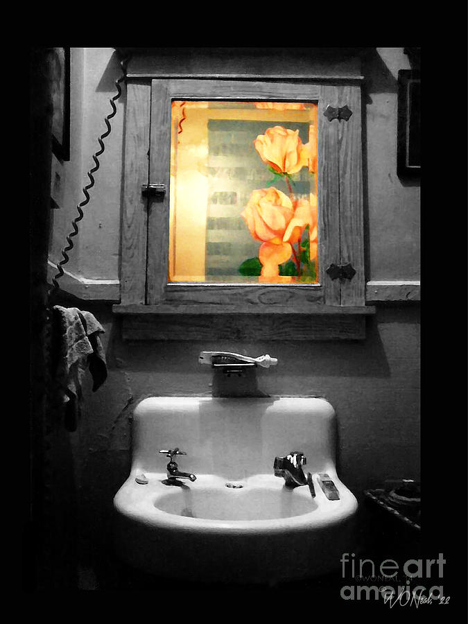 Flower Photograph - Bathroom 1974 by Walter Neal