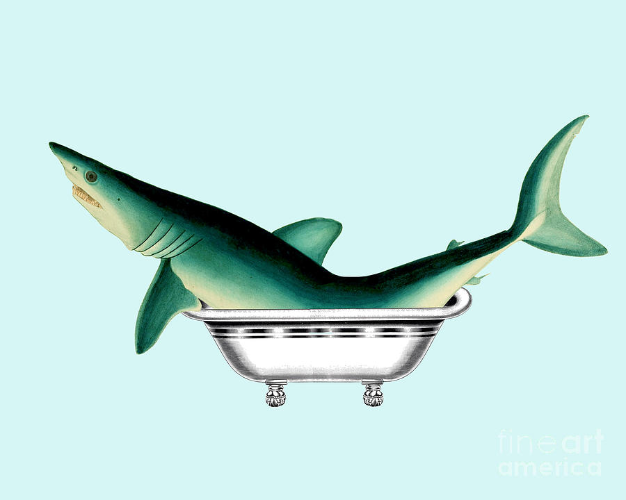 Sharks Digital Art - Bathtub shark by Madame Memento