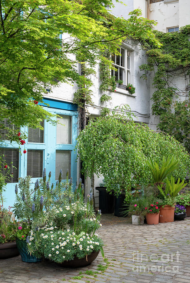 Bathurst Mews Hyde Park Estate in Spring Photograph by Tim Gainey