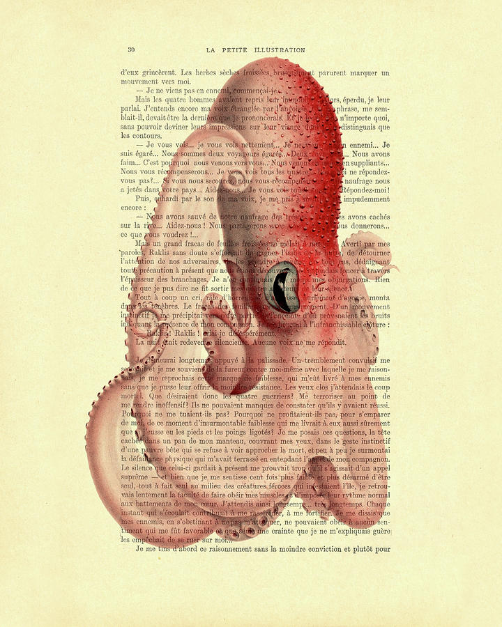 Octopus Digital Art - Bathypolypus, benthoctopus, pink octopus art by Madame Memento