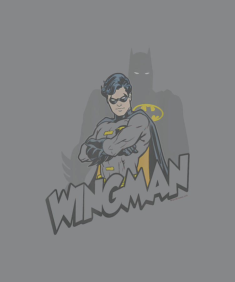 Batman Robin Wingman Digital Art by Thuy Dinh Thi | Pixels