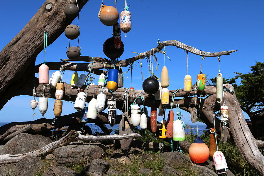 Battery Point Buoy Tree Photograph by Art Block Collections