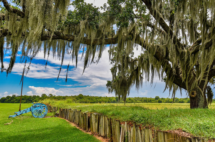 Battle of New Orleans Photograph by Mark Roberts | Fine Art America