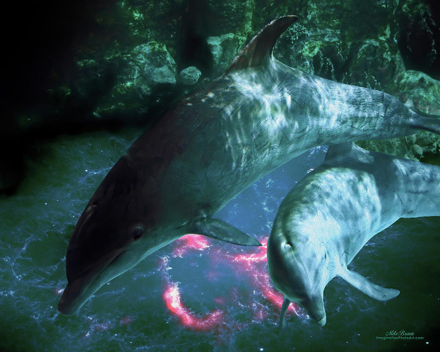 Dolphin Digital Art - Battle Scars by Mike Braun Dolphin Digital Art - Battle Scars by Mike Braun