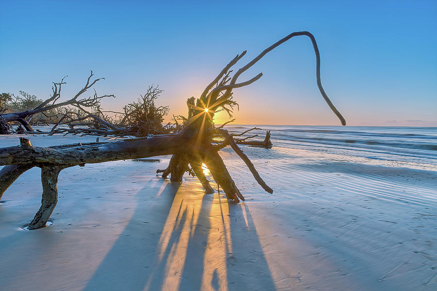 Battlefield Of Beauty - Botany Bay 2 Photograph By Steve Rich - Fine 