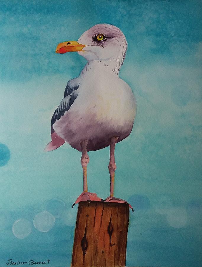 Seagull Painting - Baubles by Barb Barnes
