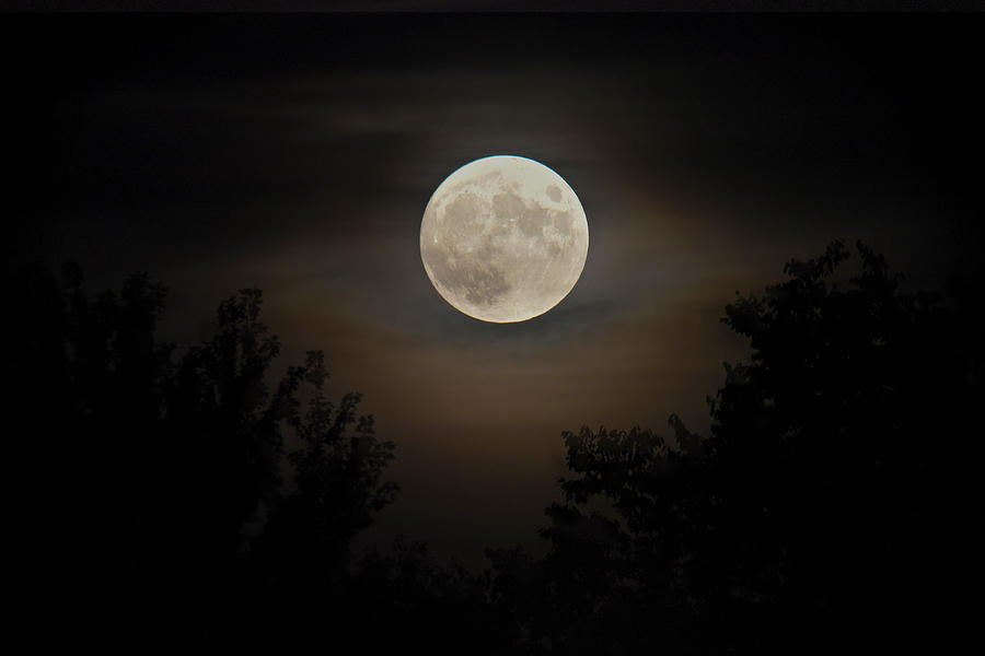 Baudelaire's Moon - Full Moon September 2022 Photograph by Teresa ...