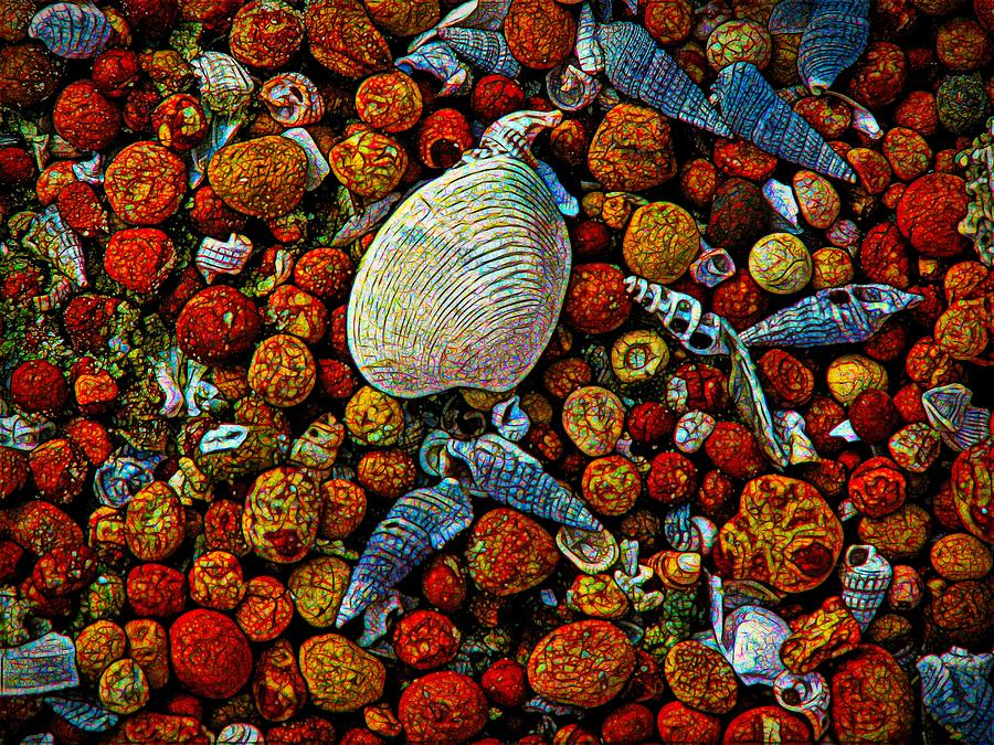 Bauxite and Shells Photograph by Joan Stratton
