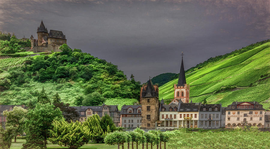 Bavarian Beauty Along the Rhine Photograph by Marcy Wielfaert