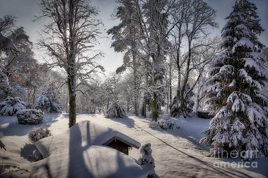 Bavarian Winter Photograph by Edmund Nagele FRPS