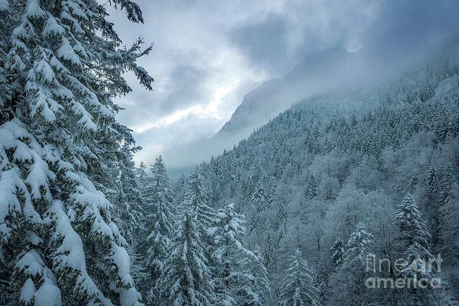 Bavarian Winter - Germany Photograph by Brian Jannsen