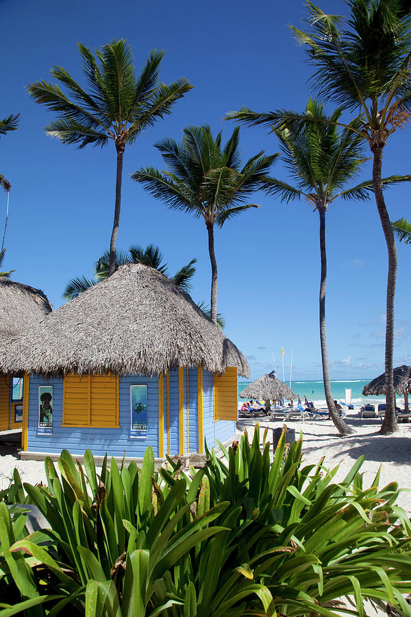 Bavaro Beach Photograph by Frank Fell - Fine Art America