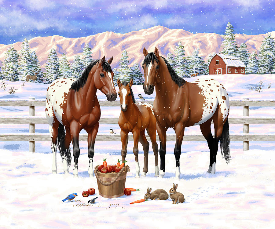 Bay Appaloosa Horses In Snow Painting by Crista Forest
