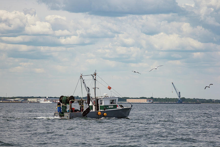 Bay Fishing Photograph by Denise Kopko