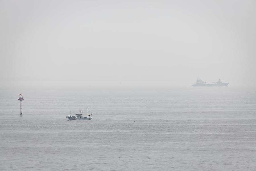 Bay Fog Photograph by Bill Chizek