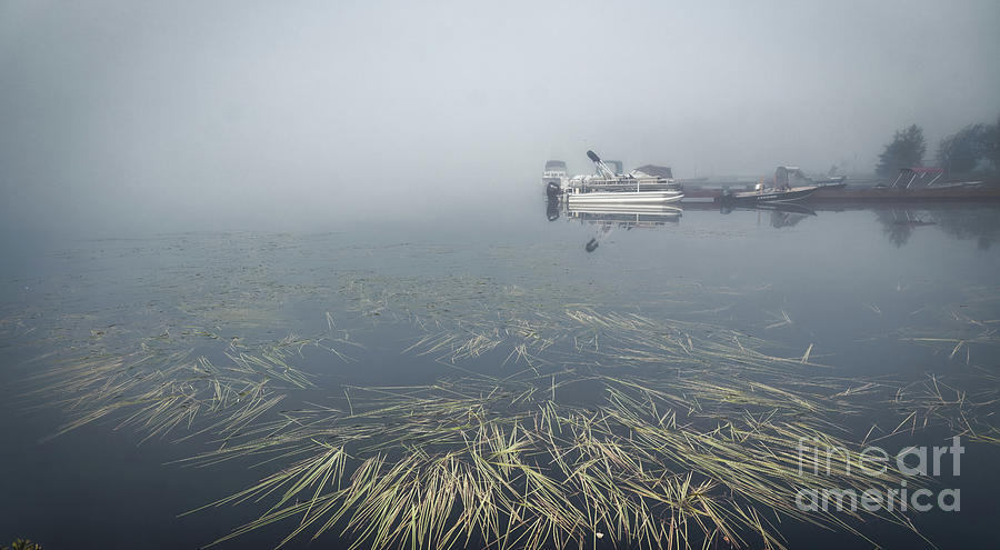 Bay Lake in Fog Photograph by Charline Xia