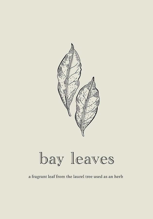 Vintage Mixed Media - Bay Leaves Spice Vintage Minimalistic Kitchen Poster by Design Turnpike