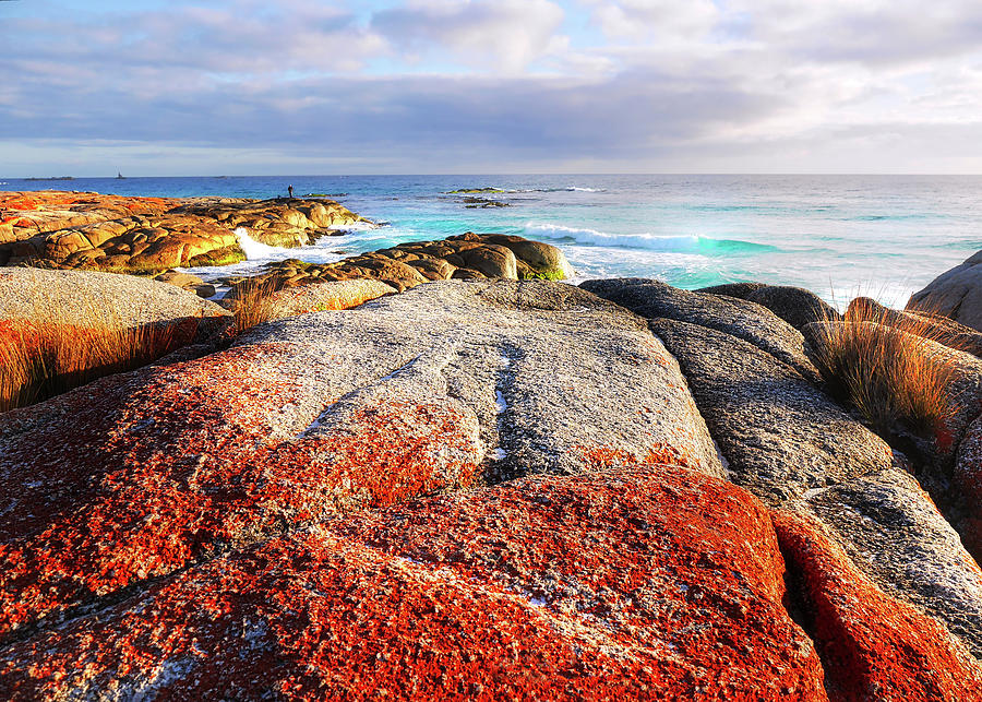 Bay of Fires Morning Photograph by Lexa Harpell