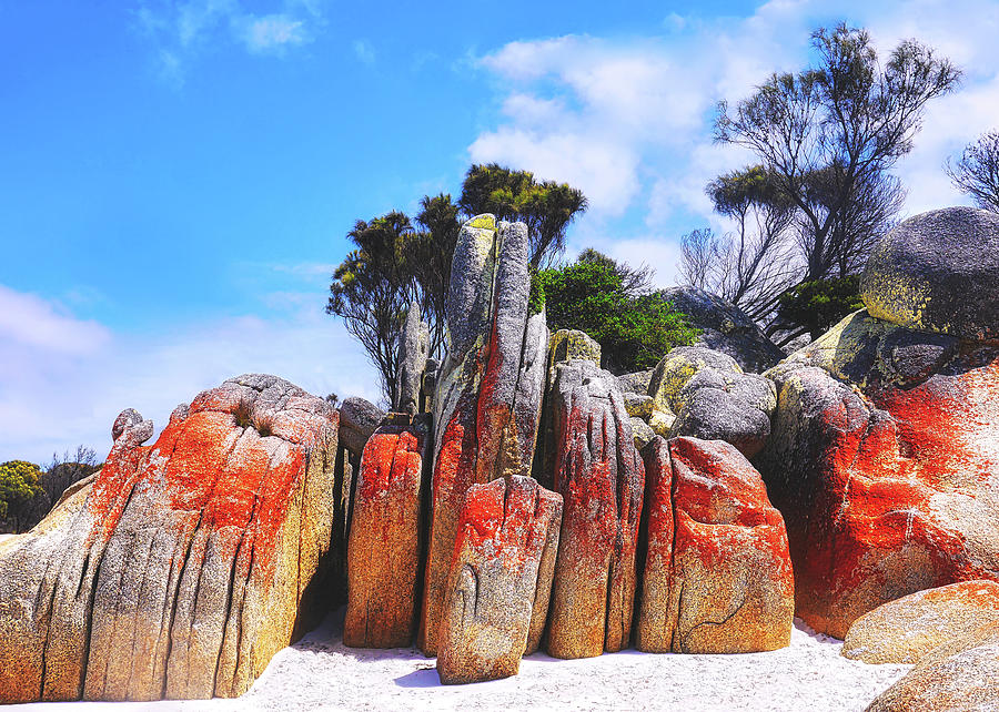 Bay of Fires Rocks 2 Photograph by Lexa Harpell