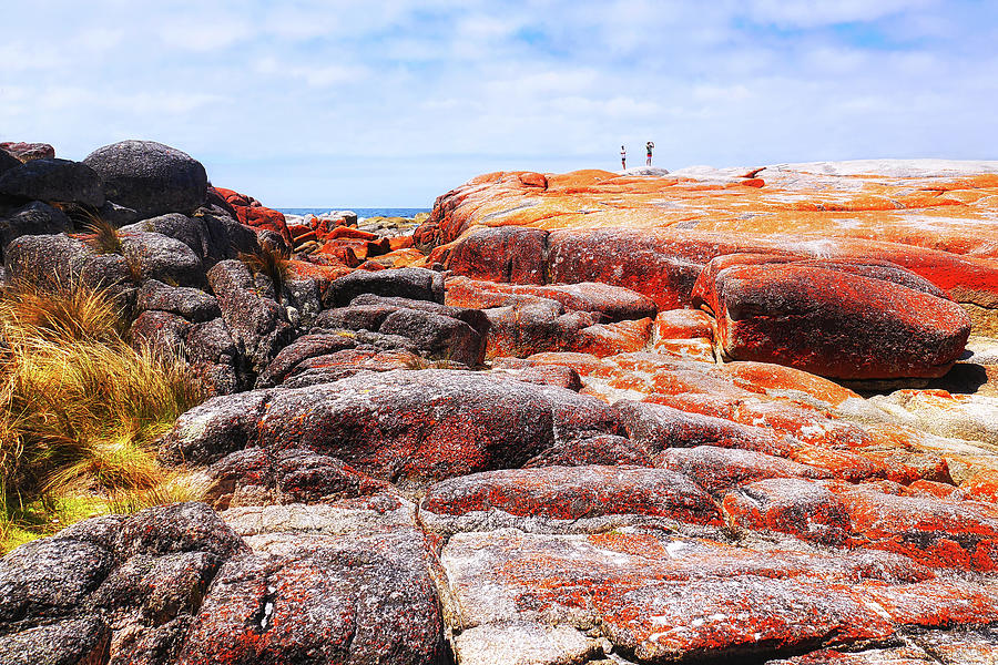 Bay of Fires Rockscape Photograph by Lexa Harpell