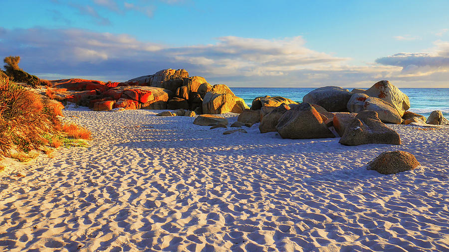 Bay of Fires Sunrise Photograph by Lexa Harpell