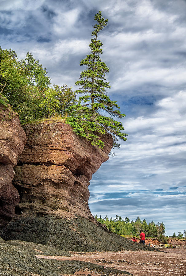 Bay of Fundy Photograph by Karen Sirnick