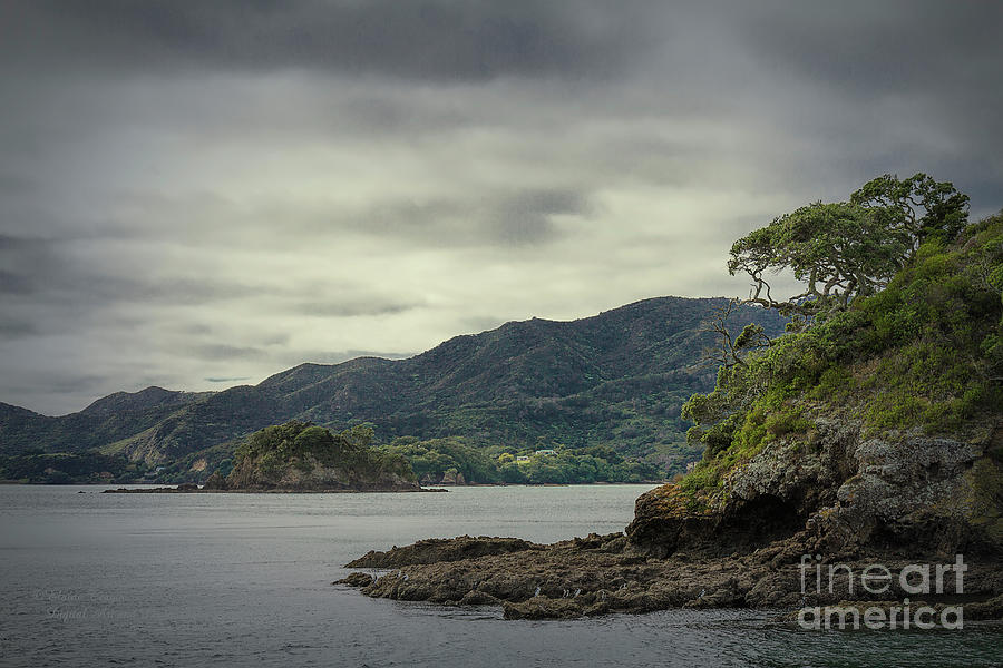 Bay of Islands, New Zealand 4 Photograph by Elaine Teague