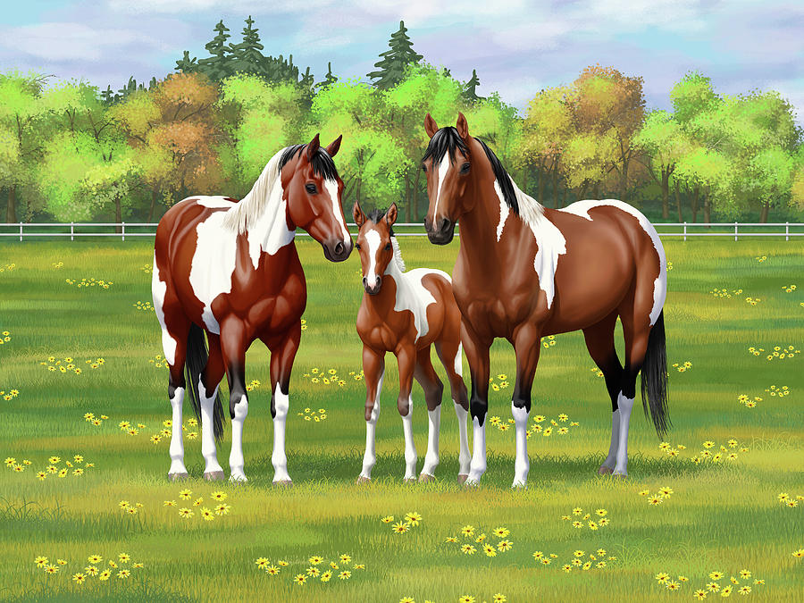 Bay Pinto Paint Quarter Horses in Summer Pasture Painting by Crista Forest