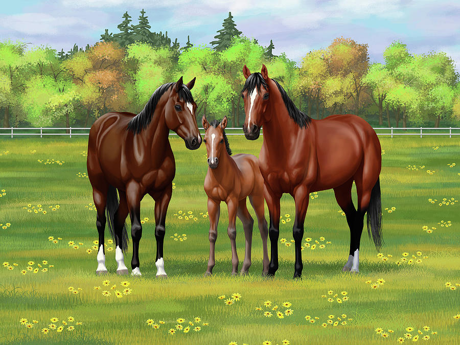 Bay Quarter Horses in Summer Pasture Painting by Crista Forest