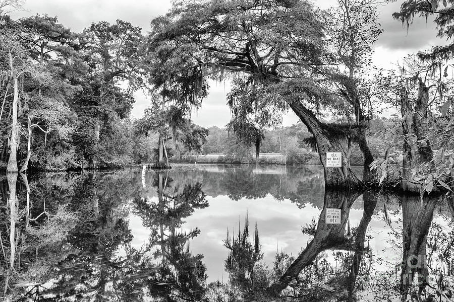 Bay View Reflections - BW Photograph by Scott Pellegrin