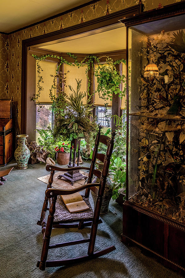 Bay Window With Plants Photograph