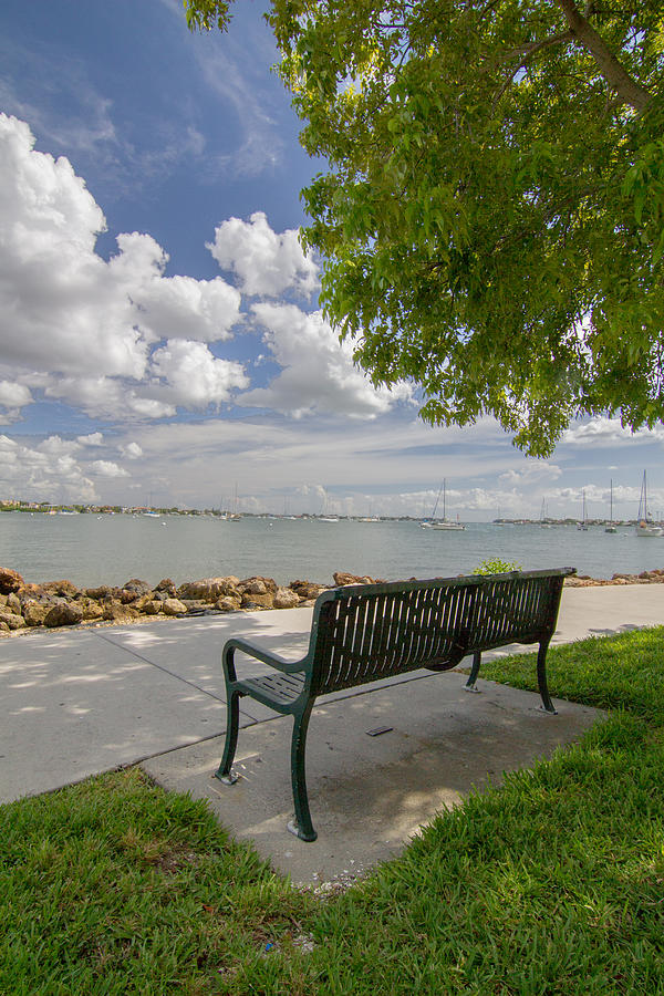 Bayfront Bench Photograph by Nautical Chartworks