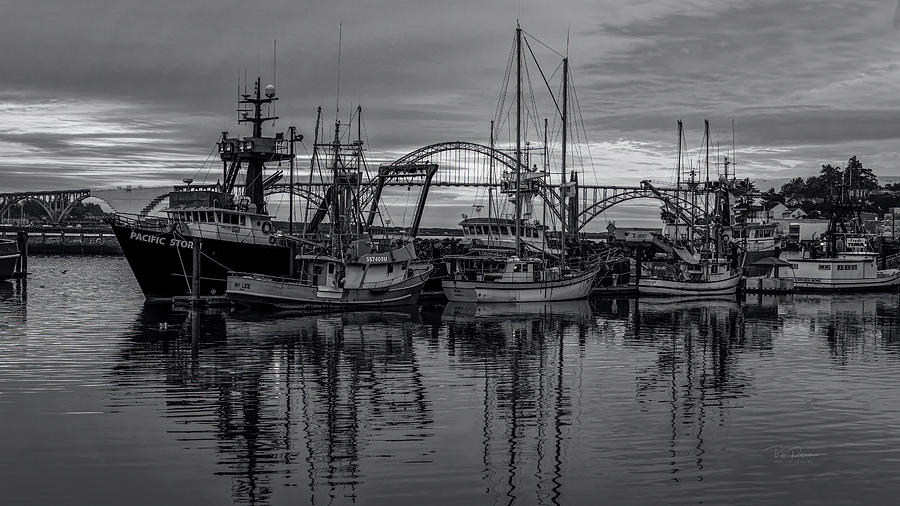 Bayfront black and white Photograph by Bill Posner