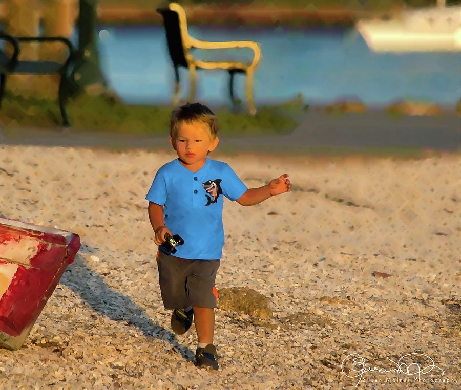 Bayfront Blue Boy 1 Photograph by Susan Molnar