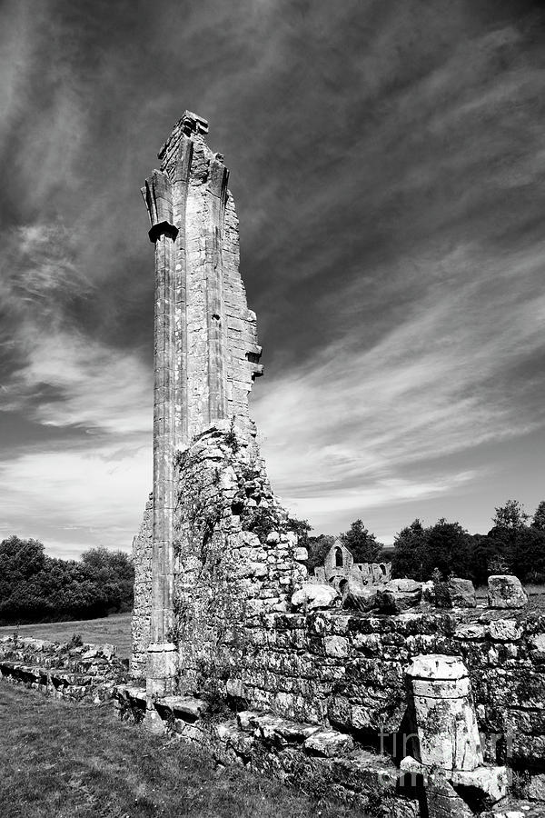 Bayham Abbey ruins in black and white Photograph by James Brunker