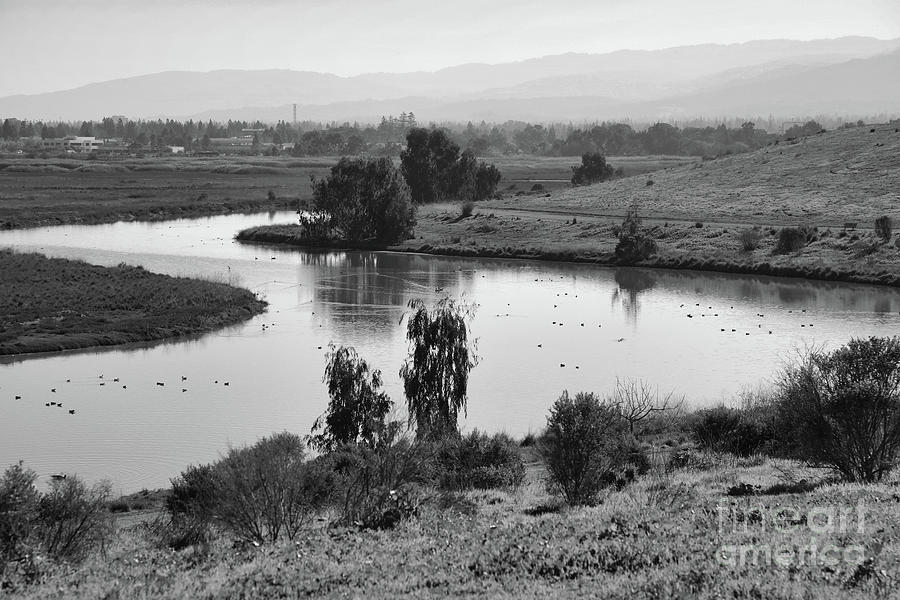 Bayland Palo Alto Landscape BW  Photograph by Chuck Kuhn