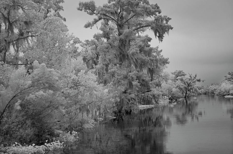 Bayou Calm Before the Storm Photograph by Jill Love