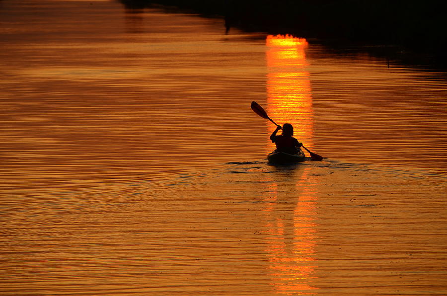Bayou Kayak Photograph by Charlotte Schafer
