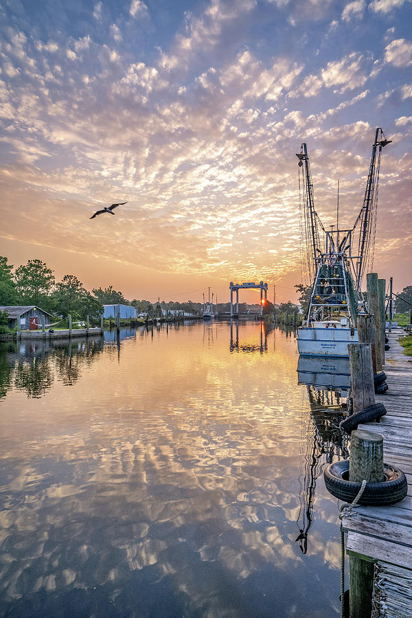 Bayou Sunrise, 7/26/21 Photograph by Brad Boland