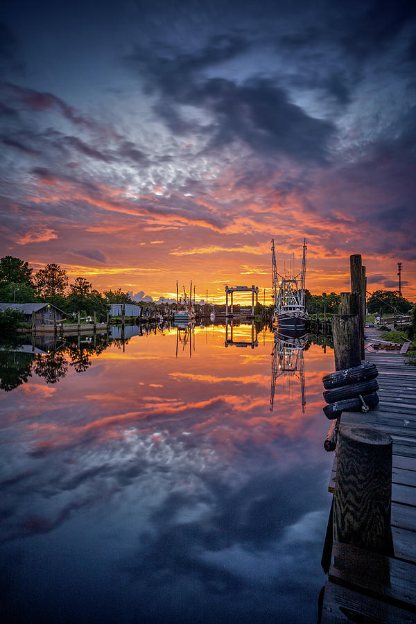 Bayou Sunrise Photograph by Brad Boland