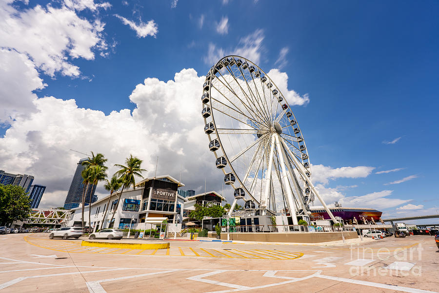 Bayside Miami ferris wheel tourist attraction Skyviews Photograph by ...