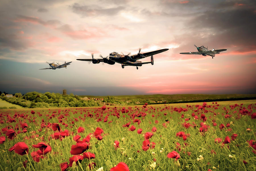 BBMF Poppy Sunset Digital Art by Airpower Art