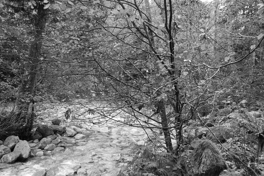 Black and White Creek Photograph by Mr JB Stickley