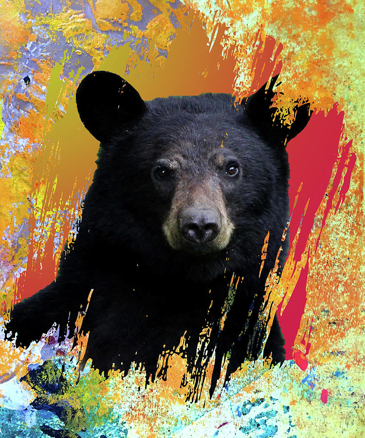 Be a Bear Digital Art by Nancy Merkle