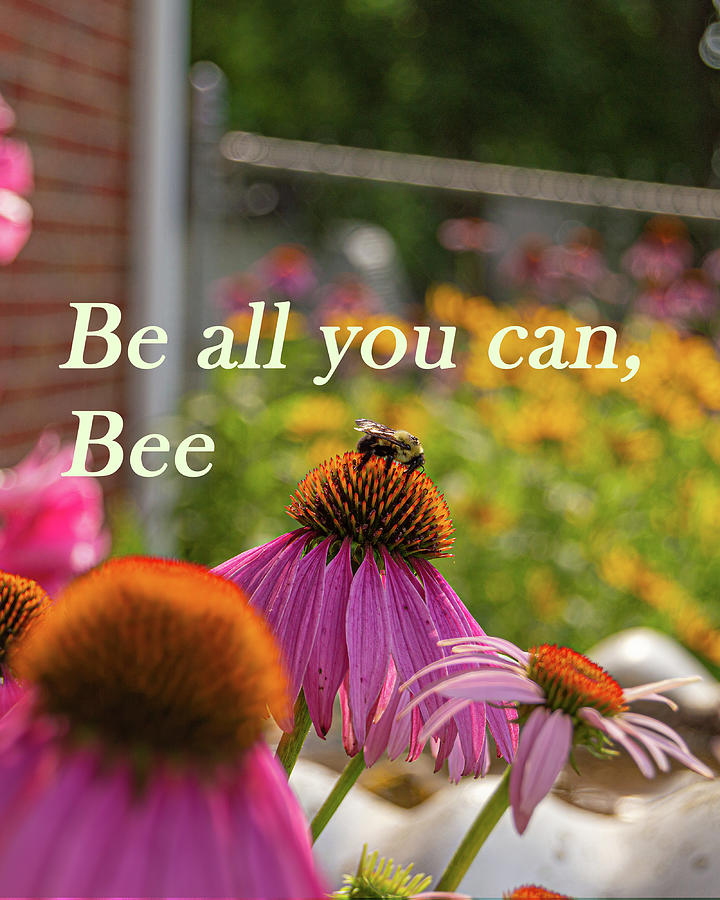 Be All You Can, Bee Photograph