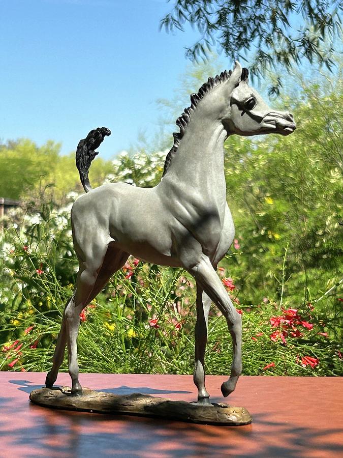 Be Audacious - bronze foal Sculpture by J Anne Butler