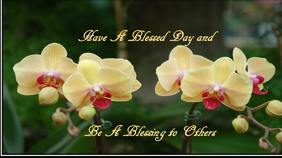 Be Blessed and Bless Others Photograph by Nancy Ayanna Wyatt