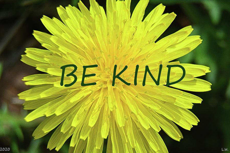 Be Kind Dandelion Photograph by Lisa Wooten